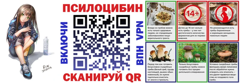 сколько стоит  Донской  Галлюциногенные грибы Cubensis 