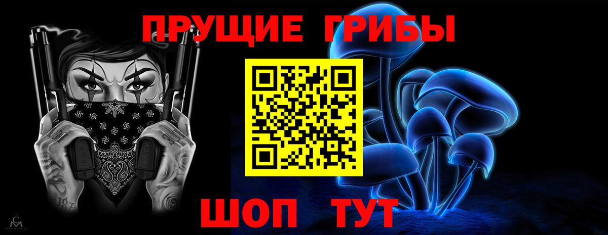 Псилоцибиновые грибы Cubensis Донской