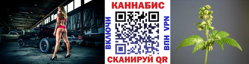 Бошки марихуана тримм  дарнет шоп  гидра зеркало  Донской 